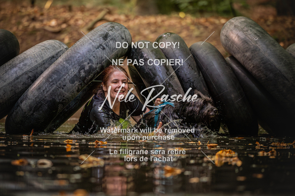 nelerasche_SaWingst0845-1000_92 | nelerasche