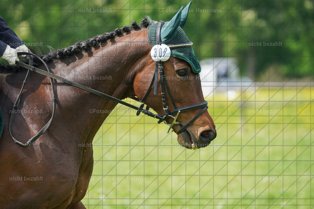 20240509-FAH02844 | Turnierbilder der Turnierfotografen Bayern, Pferdesport Fotografie, Reitsportbilder, Turnier Landberg am Lech, Turnierbilder bayern, Fotoagentur Herrmann