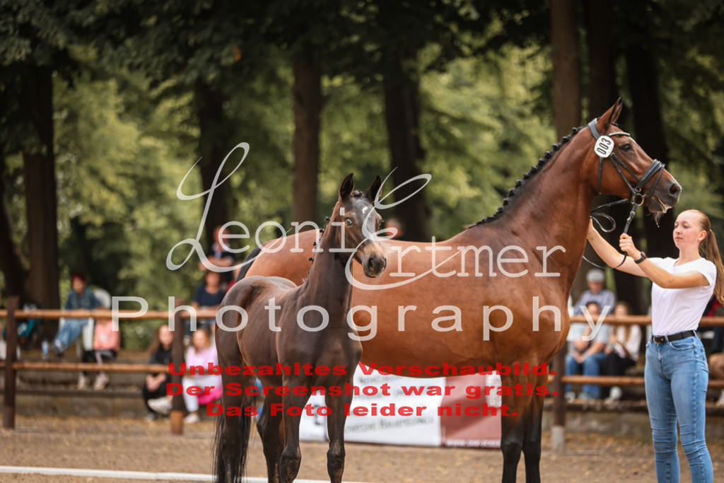 SaFohlen00029 | Leoni Ertmer Photography - Realisiert mit Pictrs.com