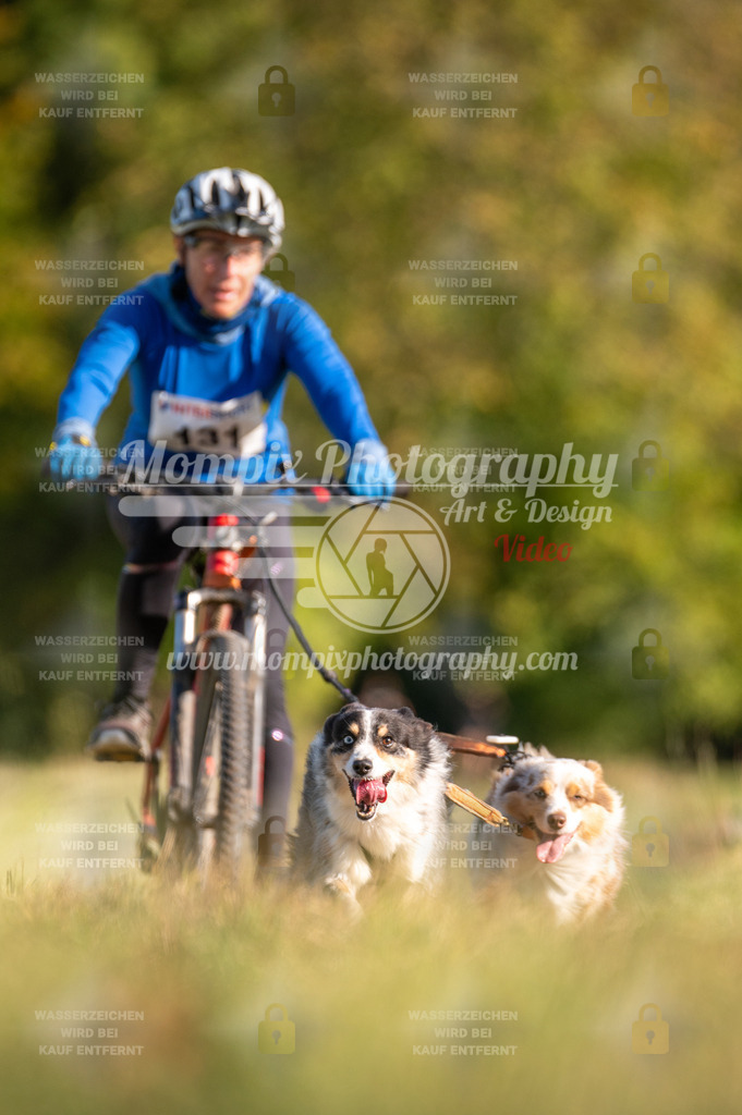 CDLBDB_15_10_2023_Dimanche-351 | mompixphotography