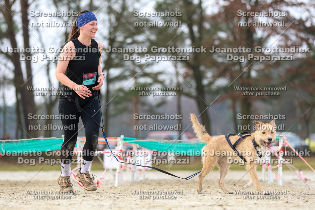 Dog Paparazzi - Strongdog North Mrz26-4105 | Dog Paparazzi Jeanette Grottendiek Fotografie & Videografie - Realisiert mit Pictrs.com