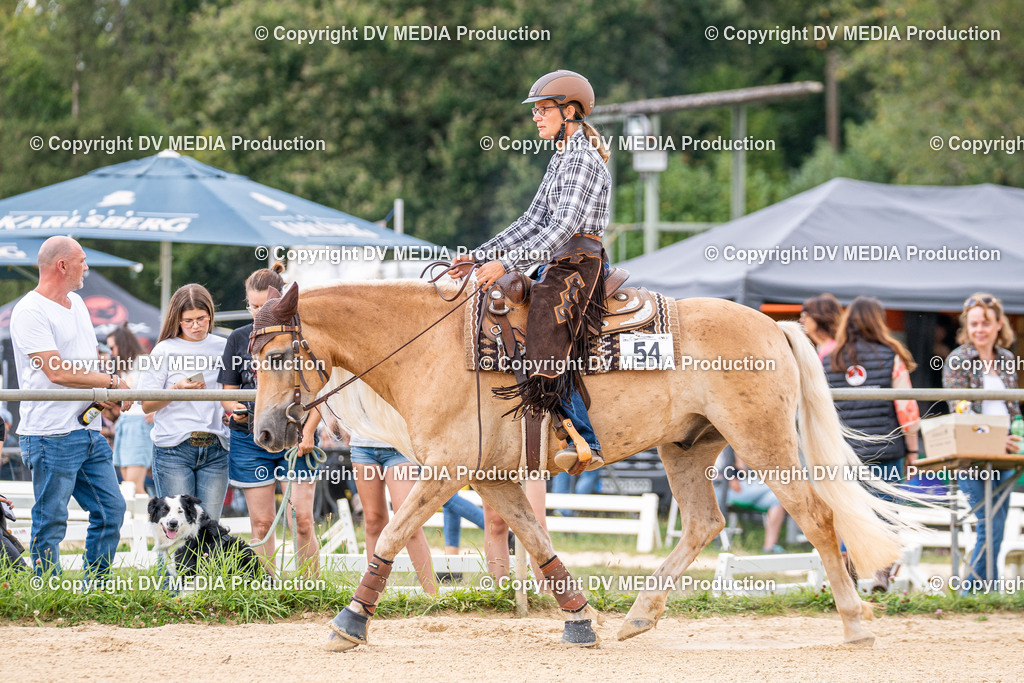 LM Heiligenwald Tag 2-1601 | dv-media-shop - Realisiert mit Pictrs.com