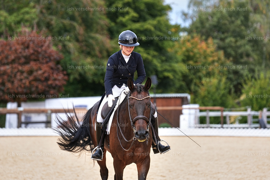 11-066-Dressur S___-Marixx-1659 | working equitationturnier fotograf videograf stoibphotography marixx film working equitation deutschland reitsport turnierfotografie eventfotografie equestrian events