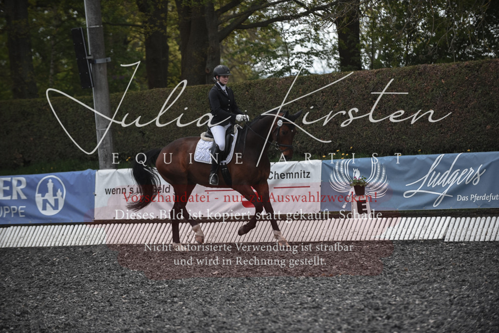 20230513_JK-Röhrsdorf-14-793 | Pferde- und Turnierfotografie in Westsachsen. Pferdeportraits, Auftragszeichnungen und intuitive Kunst.