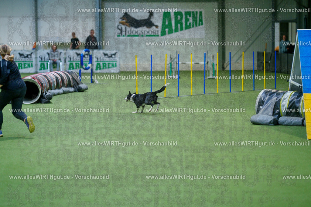 @allesWIRTHgut_Tierfotografie - www.allesWIRTHgut.de - 2604250829-7R506807 | Professionelle Tierfotografie in Mönchengladbach von Daniel Wirth (allesWIRTHgut). Liebevolle & natürliche Bilder von Hunden & Katzen für unvergessliche Erinnerungen.