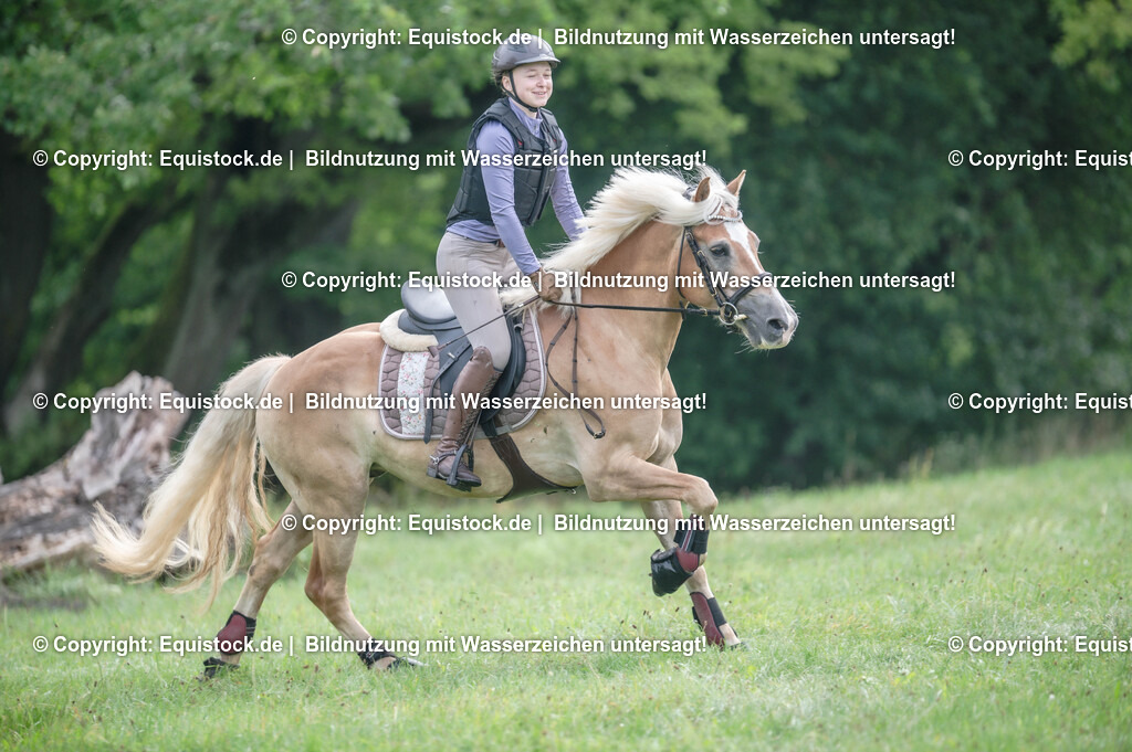 20250726_Vielseitigkeitslehrgang-Marbach_0131 | Foto: Thomas Hartig