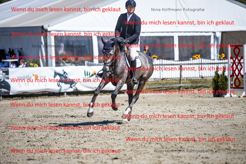 BK1A5539 | Turnierbilder Turnierfotos Nina Hüffmann Turnierfotografie Pferdefotografie Tierzeichnung Haustierzeichnung Pferdezeichnung Hundezeichnung Videograf  - Realisiert mit Pictrs.com