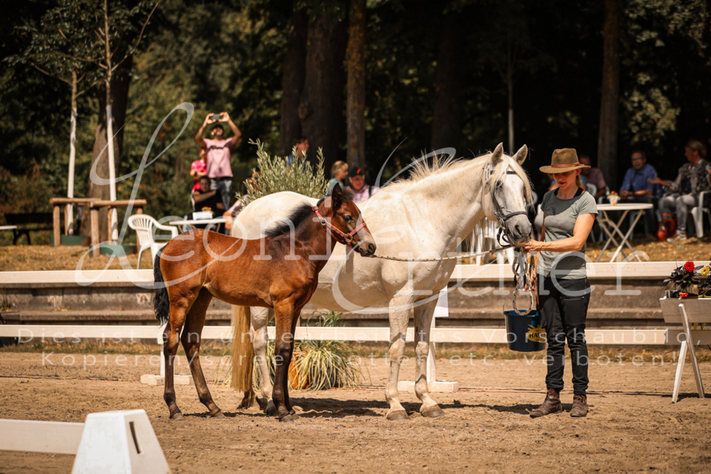 03.DoAB00063 | Leoni Ertmer Photography - Realisiert mit Pictrs.com