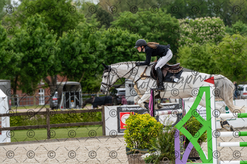 KPT_9962 | andre_photographic