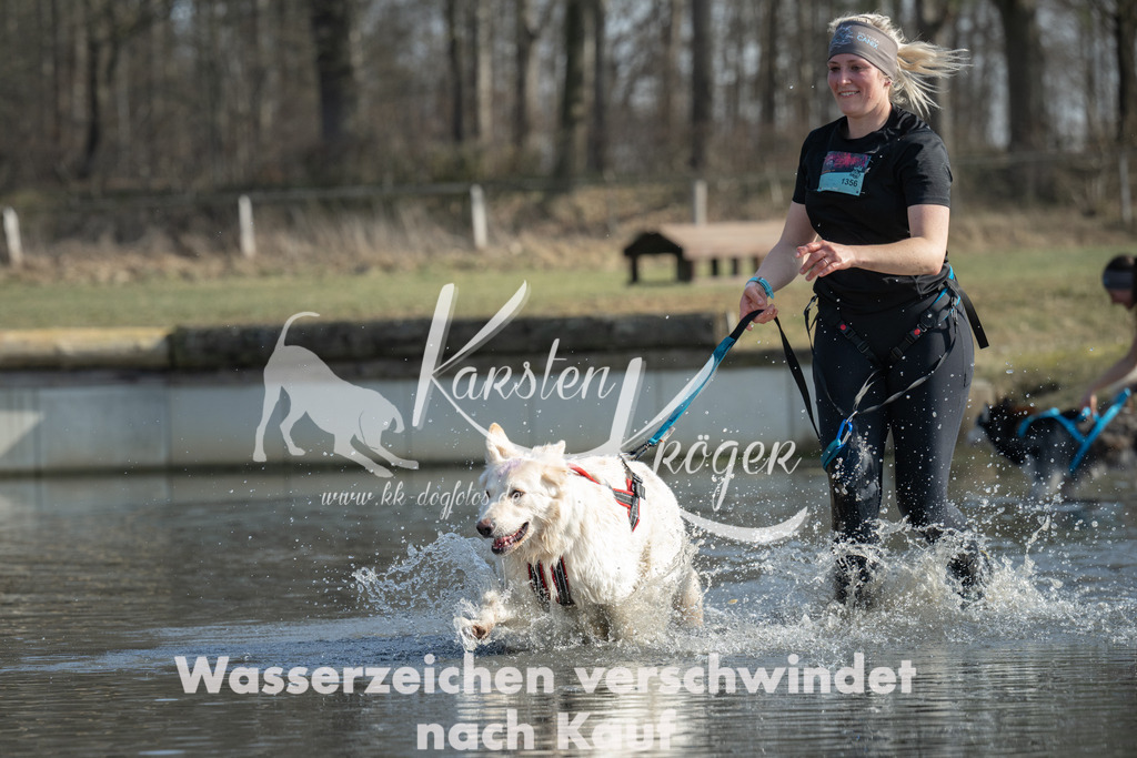 1330_ZZ96611 | kk-dogfotos
