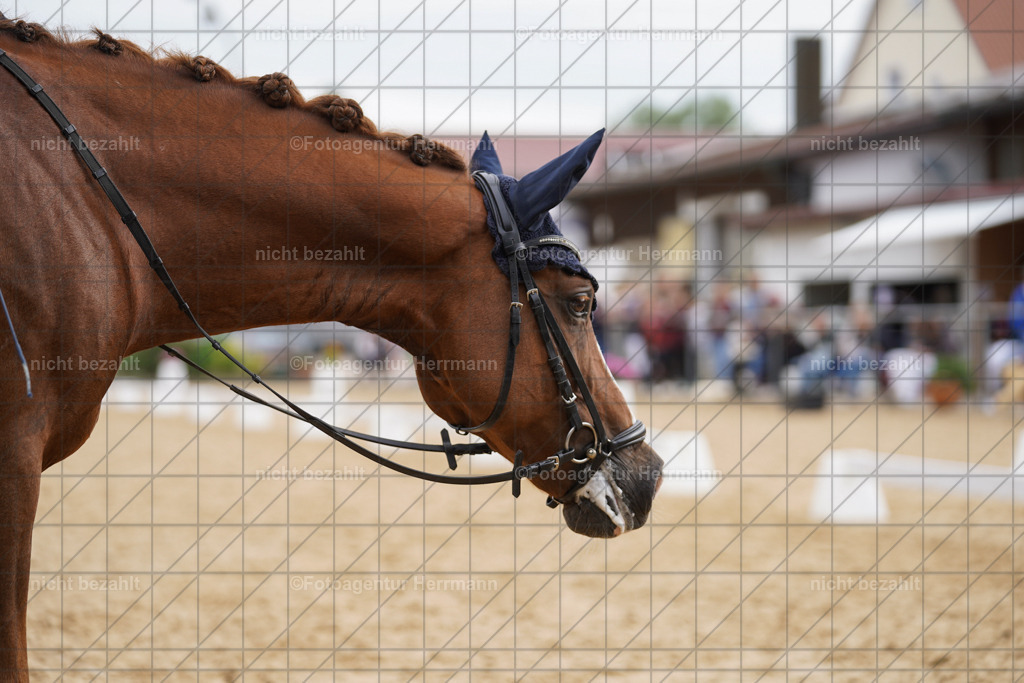 20240825-FAH00271 | Turnierbilder, Reitsportfotos, LAPO, Landesponyturnier, Turnierfotografen Bayern