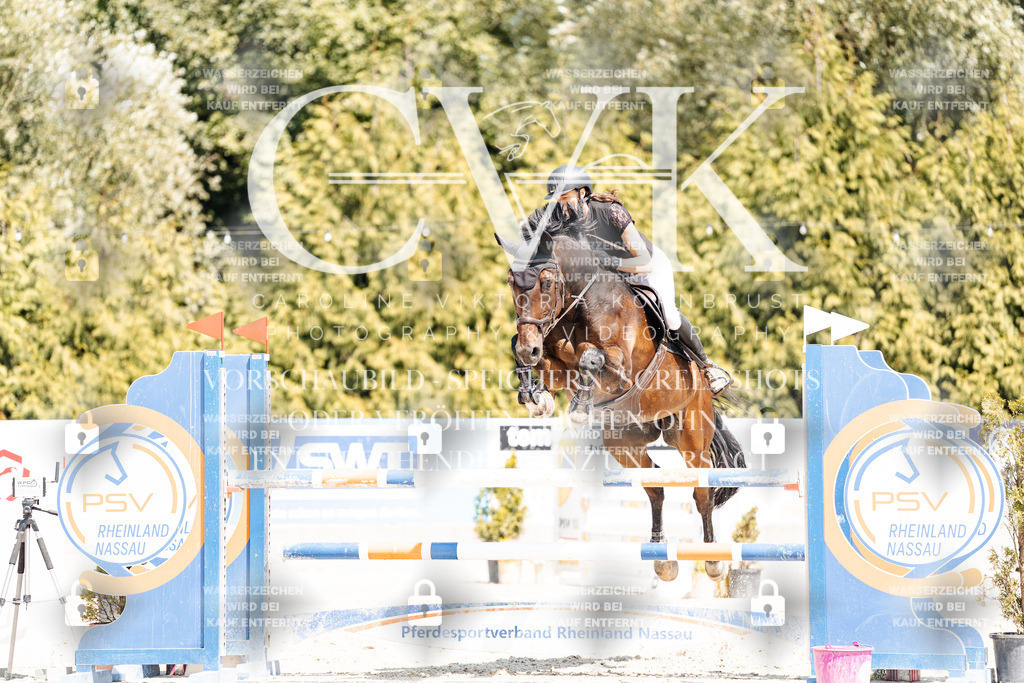 CK901034 | Turnierfotografie Pferdefotografie Trier Rheinland-Pfalz Pferdesport Reitsport Tierfotografie Sportfotografie Pferdevideo Pferdevideografie Equestrianvideography equestrianphotography  - Realisiert mit Pictrs.com