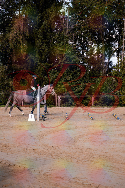 2026_10_03_Siefer-Hof_145033_Z81_28414918 | Professionelle Reitsport-, Turnier- und Eventfotografie von Robert Broda. Galerien mit ausgewählten und bearbeiteten Bildern direkt online ansehen und bestellen.