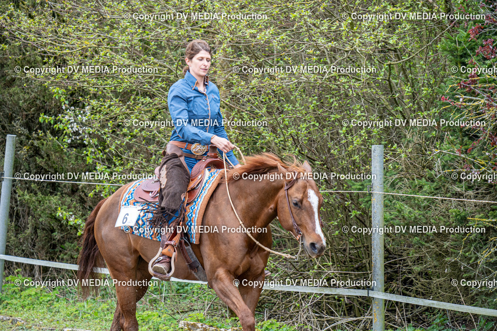 BAL00771 | dv-media-shop - Realisiert mit Pictrs.com