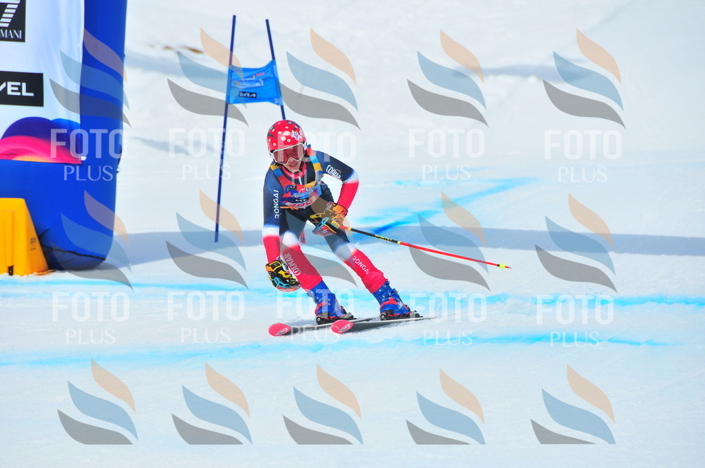 DSC_6442 | holidayphoto