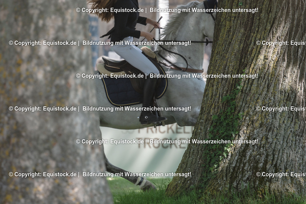 20230529_14_CSI4_Dyckerhoff_0082 | equistock