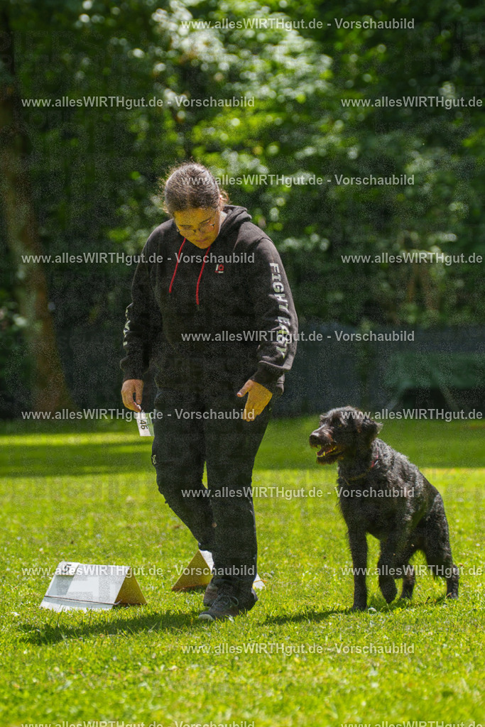 @allesWIRTHgut_Tierfotografie - www.allesWIRTHgut.de - 7R505314 | Professionelle Tierfotografie in Mönchengladbach von Daniel Wirth (allesWIRTHgut). Liebevolle & natürliche Bilder von Hunden & Katzen für unvergessliche Erinnerungen.