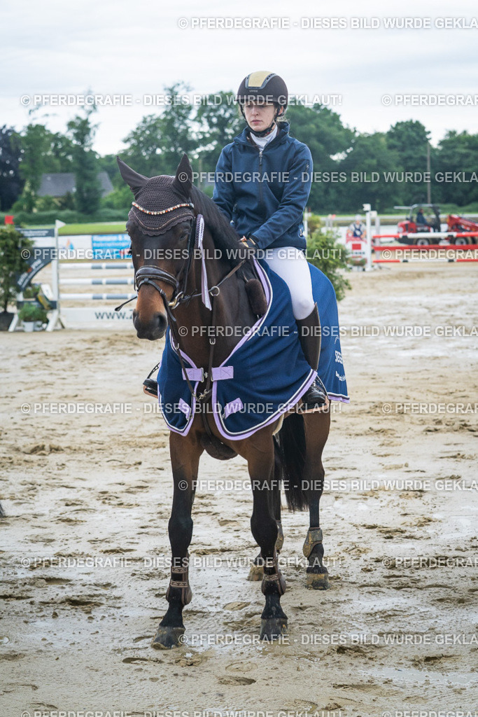 DSC04283 | Pferdegrafie