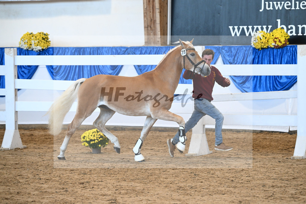 Kat-Nr. 28 nn v. Nio_Kirchberger_48250570 | hf-fotografie - Realisiert mit Pictrs.com