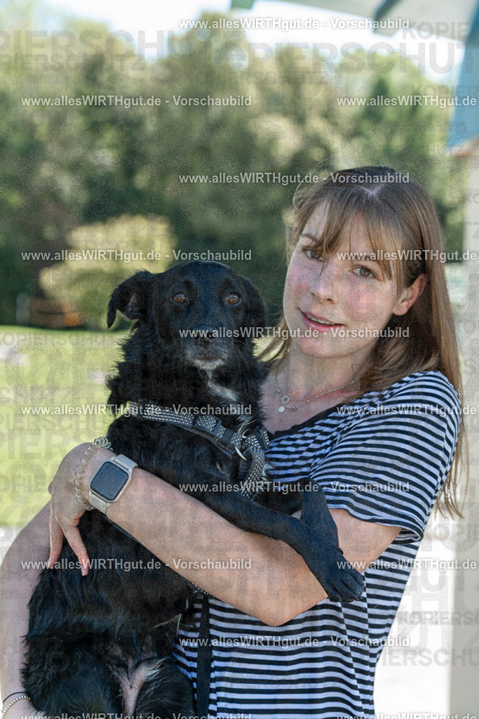Hundeschwimmen_Volksbad_2026-allesWIRTHgut_Tierfotografie-2609061300-121001-7R500375 | Professionelle Tierfotografie in Mönchengladbach von Daniel Wirth (allesWIRTHgut). Liebevolle & natürliche Bilder von Hunden & Katzen für unvergessliche Erinnerungen.