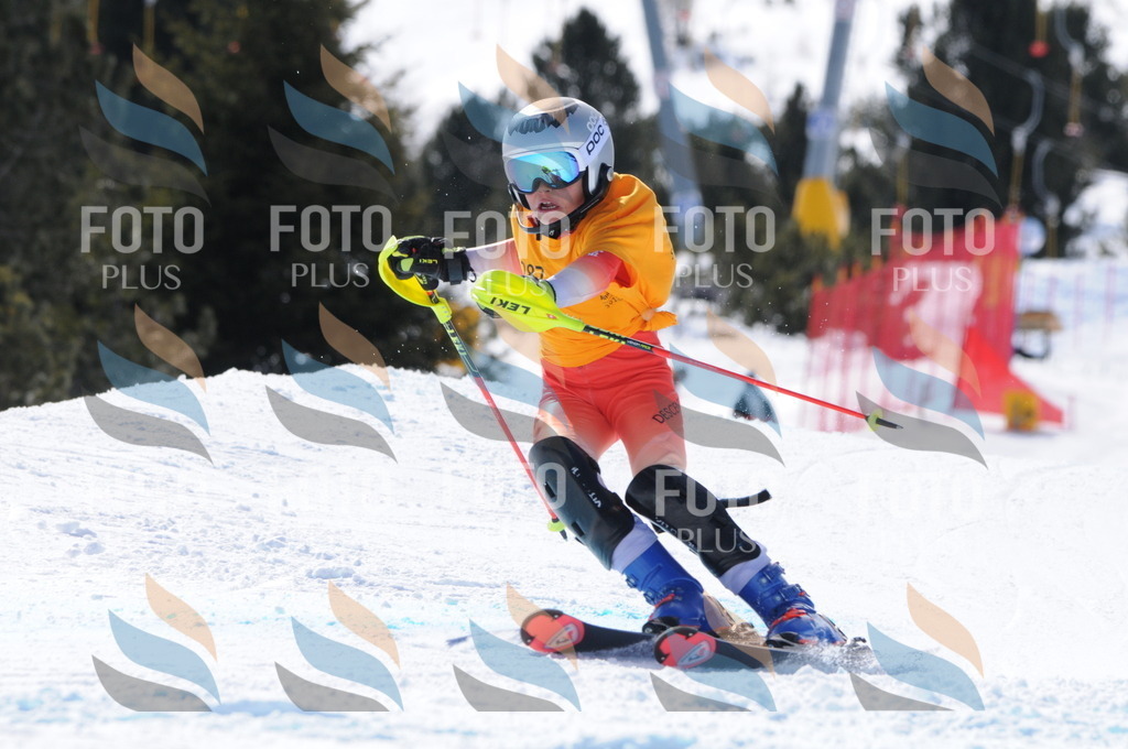 C9049 | holidayphoto