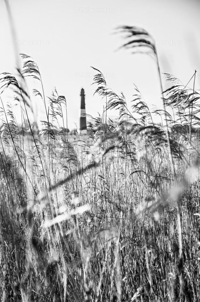 20141228-_DSC6033_Luminar-denoise-sharpen-upscale-2x_SilverEffex | Pellwormer Bilder und Fotos als Poster, auf Leinwand mit Keilrahmen, hinter Acrylglas, auf Alu-Dibond oder Forex-Platte und vieles mehr. Zum verschenken, für die Ferienwohnung oder für zu Hause. - Realisiert mit Pictrs.com