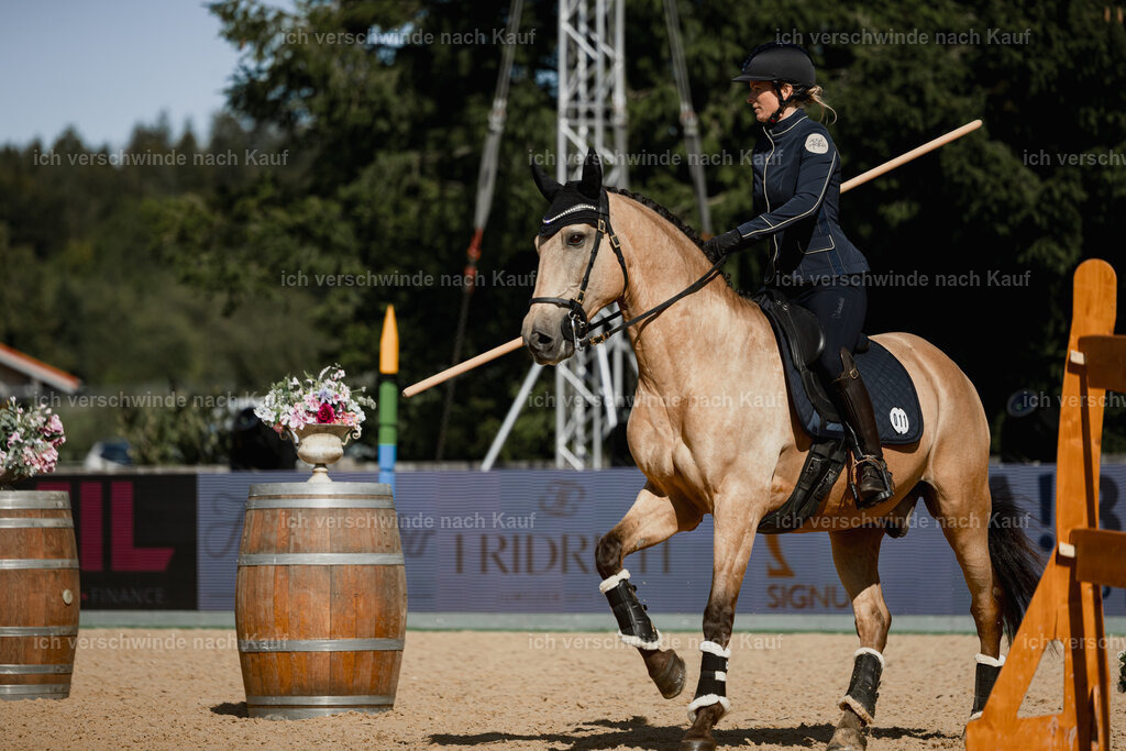 Diana11_FHC2025-27511 | working equitationturnier fotograf videograf stoibphotography marixx film working equitation deutschland reitsport turnierfotografie eventfotografie equestrian events