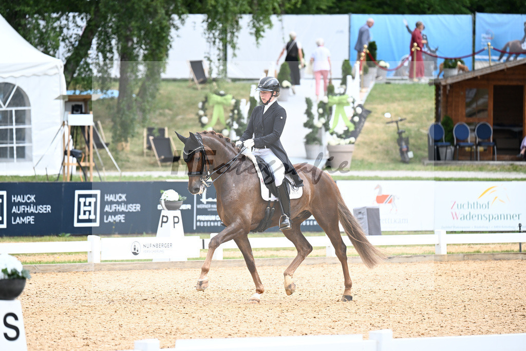 Fuchs_DSP Dimanche Royal_11255933 | hf-fotografie - Realisiert mit Pictrs.com