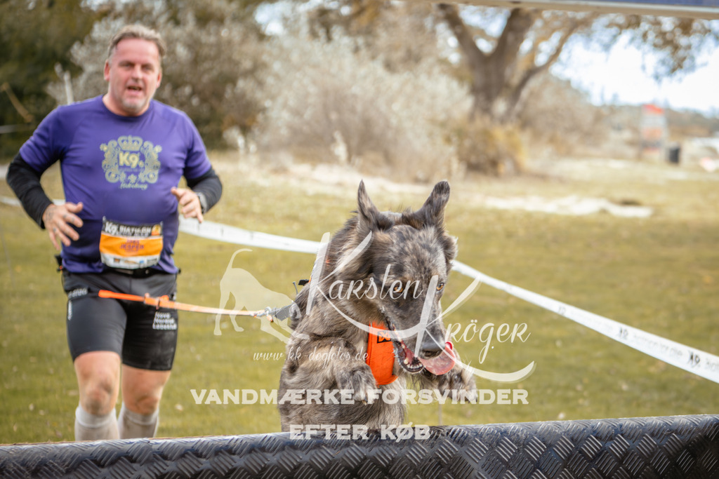 1343_ZZ91907-2 | kk-dogfotos