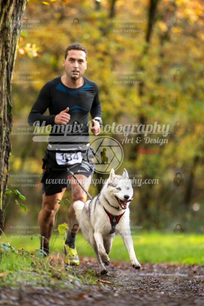 MompixPhotography_Bischwiller23_Canicross-124 | PayLife