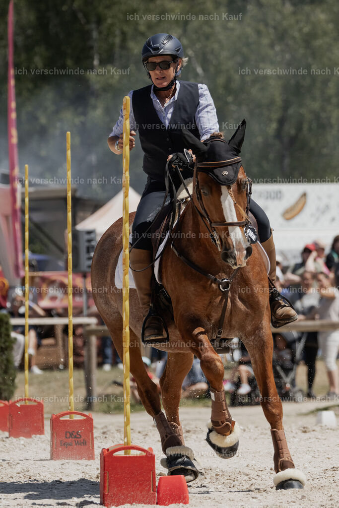 WE_SP_Stoib_323_PI2025_1901 | Pferd International München 2025