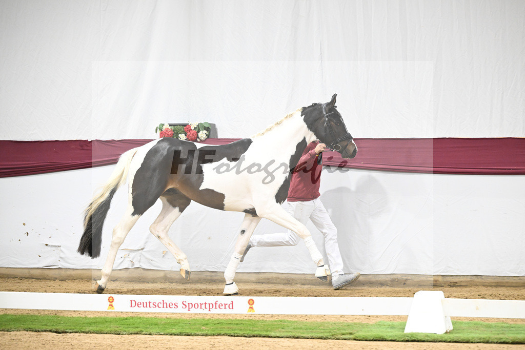 Kat-Nr. 117 Classic Deluxe x Don Martillo_Horst Schepper_47254019 | hf-fotografie - Realisiert mit Pictrs.com