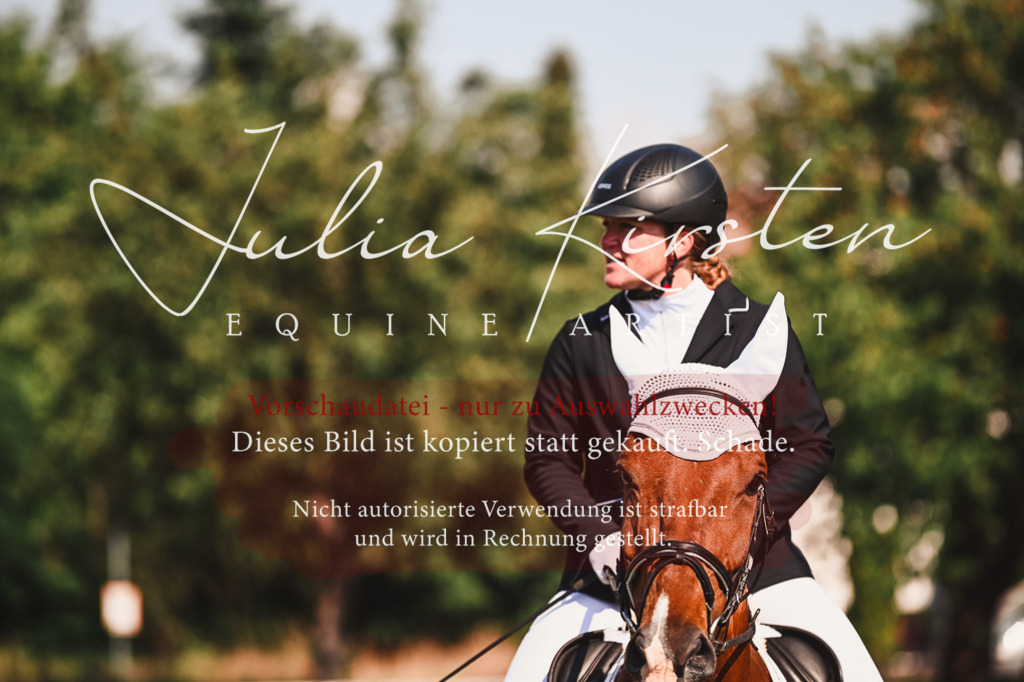 DSC_7349 | Pferde- und Turnierfotografie in Westsachsen. Pferdeportraits, Auftragszeichnungen und intuitive Kunst.