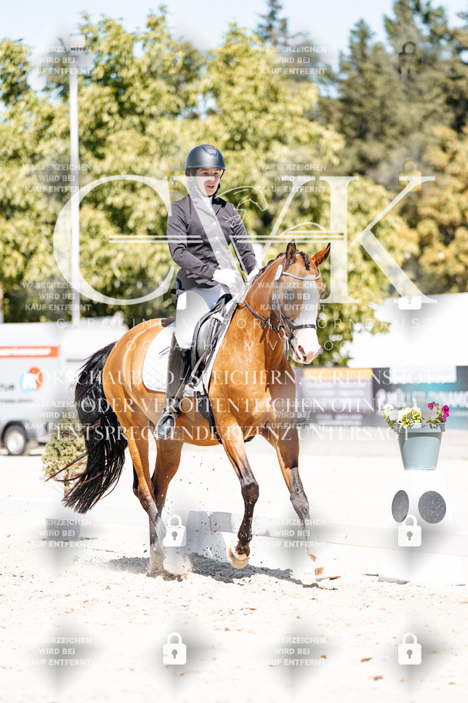 CK900306 | Turnierfotografie Pferdefotografie Trier Rheinland-Pfalz Pferdesport Reitsport Tierfotografie Sportfotografie Pferdevideo Pferdevideografie Equestrianvideography equestrianphotography  - Realisiert mit Pictrs.com