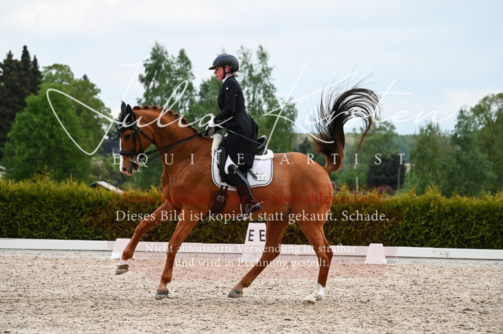 20230513_JK-Röhrsdorf-13-585 | Pferde- und Turnierfotografie in Westsachsen. Pferdeportraits, Auftragszeichnungen und intuitive Kunst.