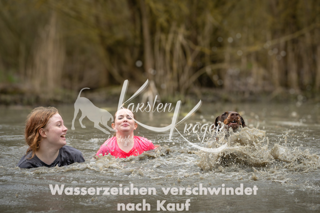 1252_ZZ92120 | kk-dogfotos