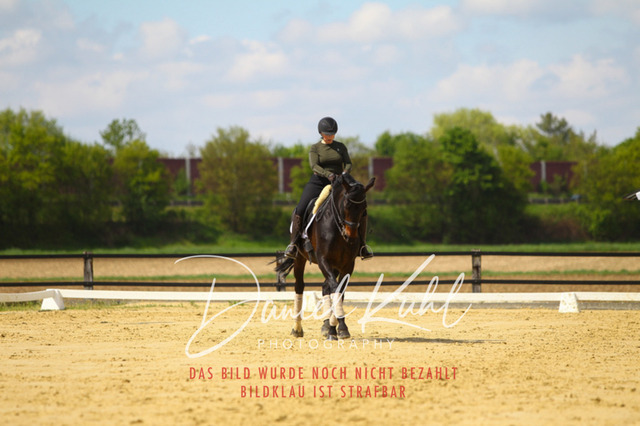 DKP43096 | Turniersportfotografie; Pferdefotografie; Dressurfotografie