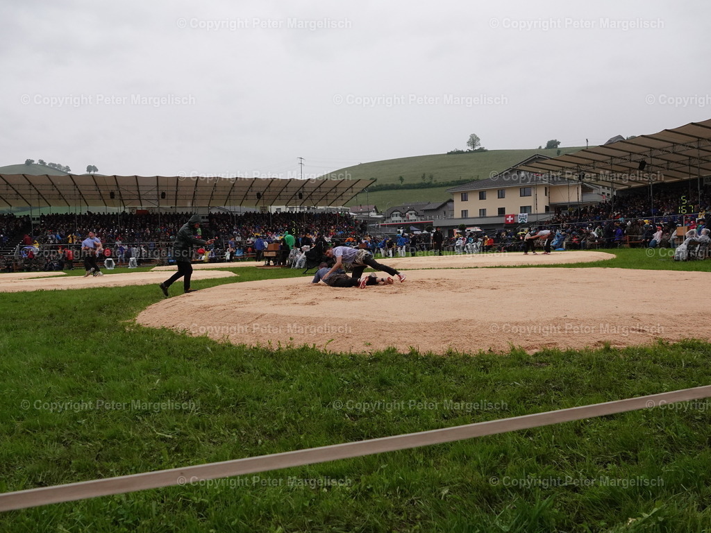 DSC07528 | Schwingen - Realisiert mit Pictrs.com