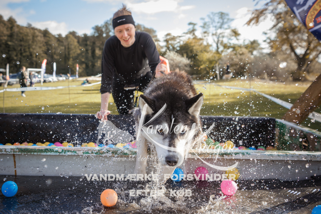 1303_ZZ98917-2 | kk-dogfotos
