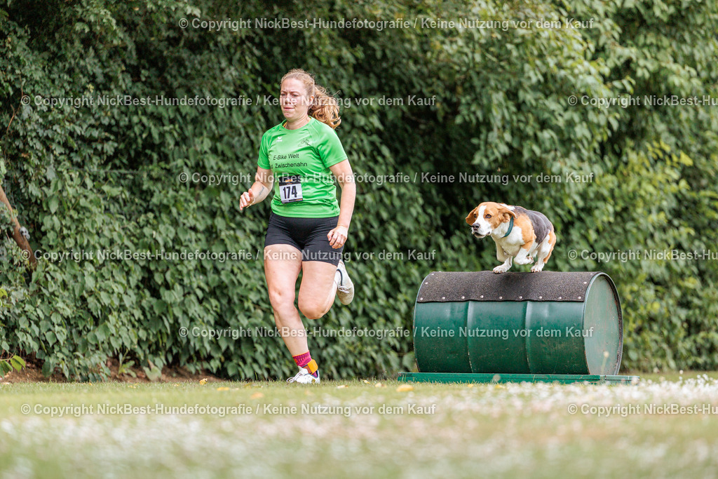 THS-Quakenbrück-2026-Nickbest-Hundefotografie-4148 | Dein Hund! Dein Moment! Deine Erinnerungen! Hundefotografie in Bremen Blumenthal. Ich fange die besonderen Momente deines Vierbeiners ein – ob Indoor mit Blitzanlage oder in der freien Natur. Sicher dir dein Moment und dein Termin für eure Erinnerungen.