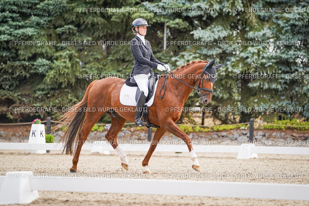 DSC01304 | Pferdegrafie