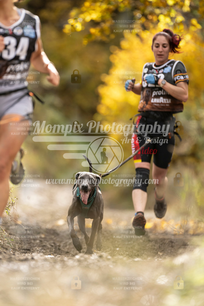 MompixPhotography_ICF_WC_2024_SA_Run_-222 | PayLife