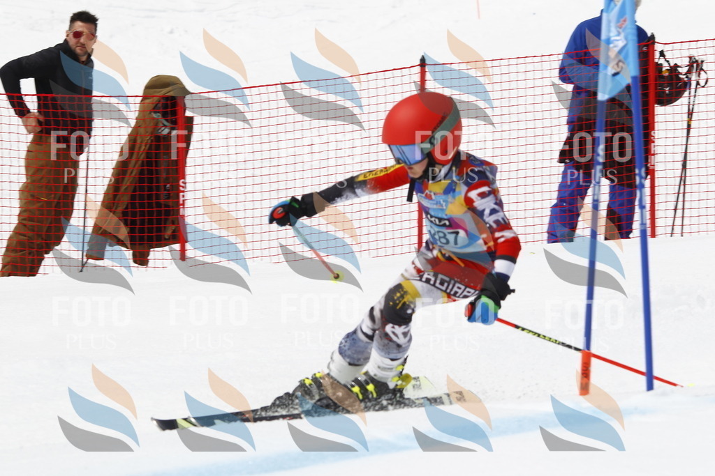 _U3G7206 | holidayphoto