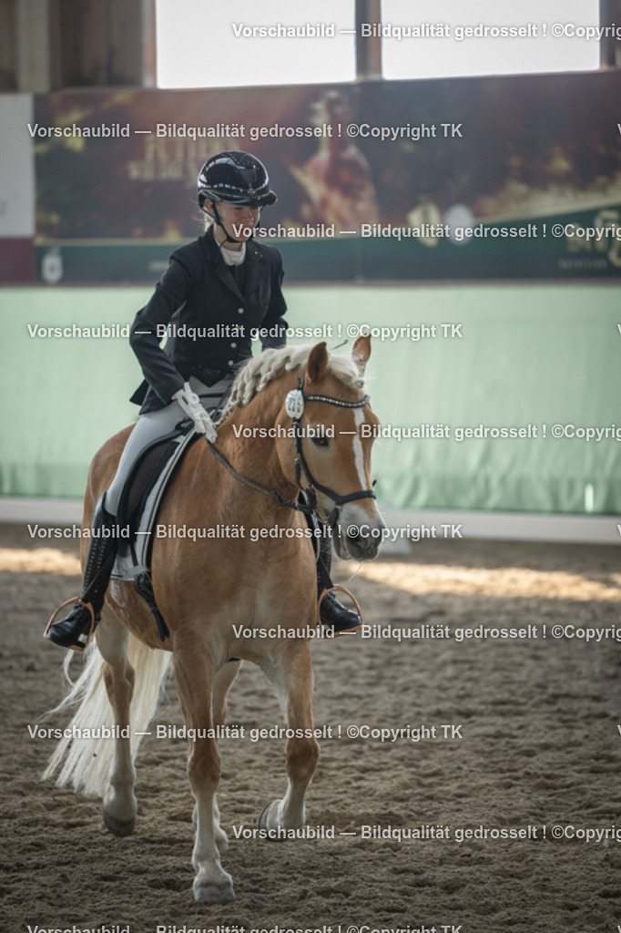 _D5A8339 | Emotionale Pferde- & People-Fotografie rund um Heidelberg, Leimen & Umgebung. Natürliche Fotos von Pferd, Mensch & Familie. Jetzt Termin sichern!