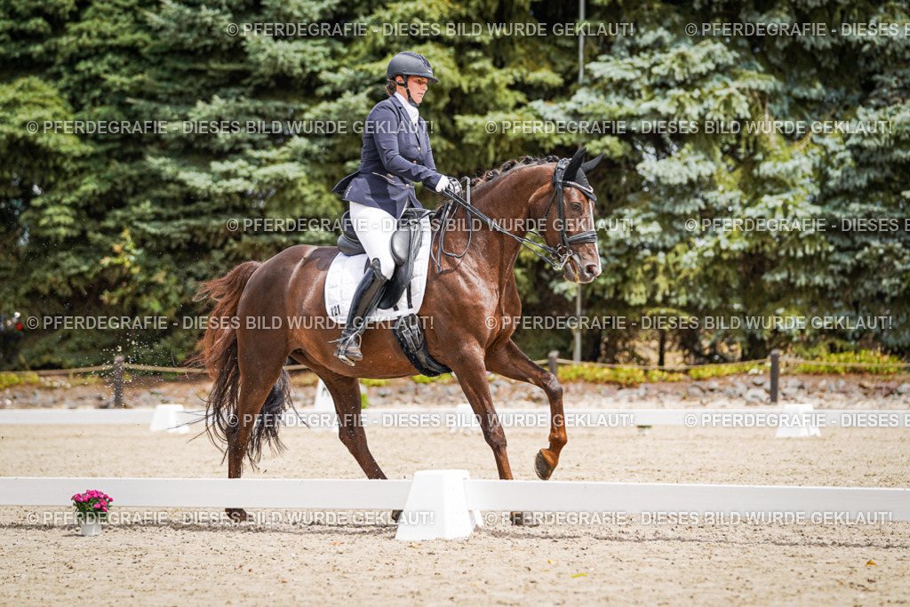 DSC03964 | Pferdegrafie