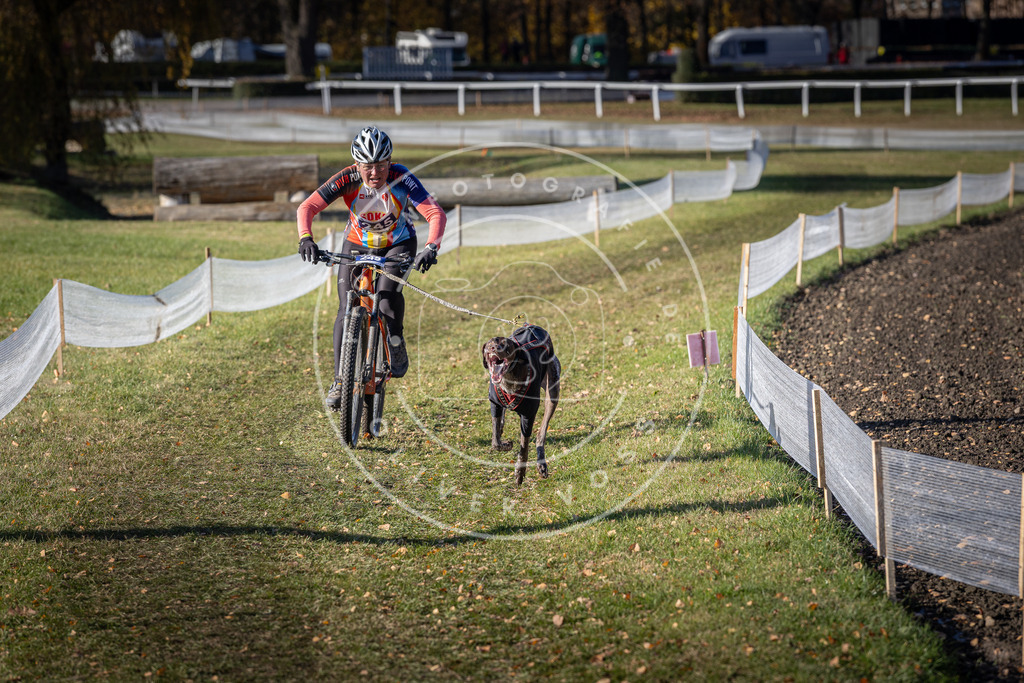 CaniXpix_DV3A4428 | Hundefotografie, Tierfotograf, Pfotenfotografie, Fotoshooting Hund, Hunde Portrait, Hundesport, Hundeportraits, Heideshooting, Hunde, Sportfotograf, Hundefotograf, Turnierhundsport, THS,  - Realisiert mit Pictrs.com
