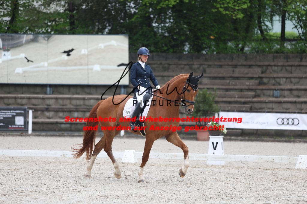 A40A8157 | lmwpictures - Realisiert mit Pictrs.com