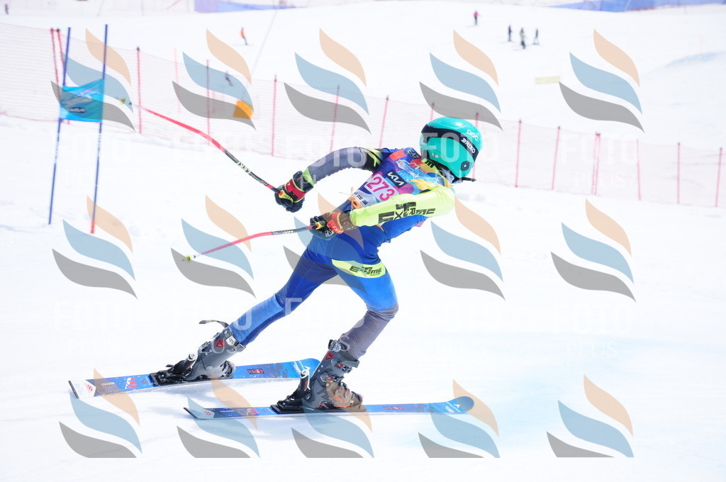 DSC_6444 | holidayphoto