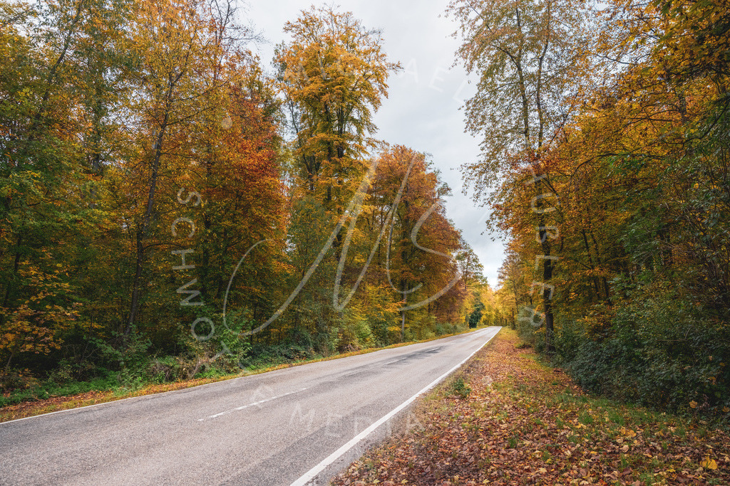2023-11-08 Hemmingen 010-HDR | Schwotte Media - Realisiert mit Pictrs.com