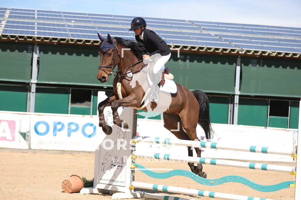 0P6A8528 | Willkommen bei Brunnmayr - Design & Fotografie – Ihrem Spezialisten für Reitturniere und Pferdeveranstaltungen in Oberösterreich, Salzburg und Bayern! Seit über 17 Jahren sind wir leidenschaftlich dabei.